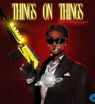 Shallipopi – Things on Things Mp3 Download