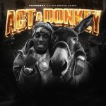 YoungBoy Never Broke Again – Act A Donkey Mp3 Download
