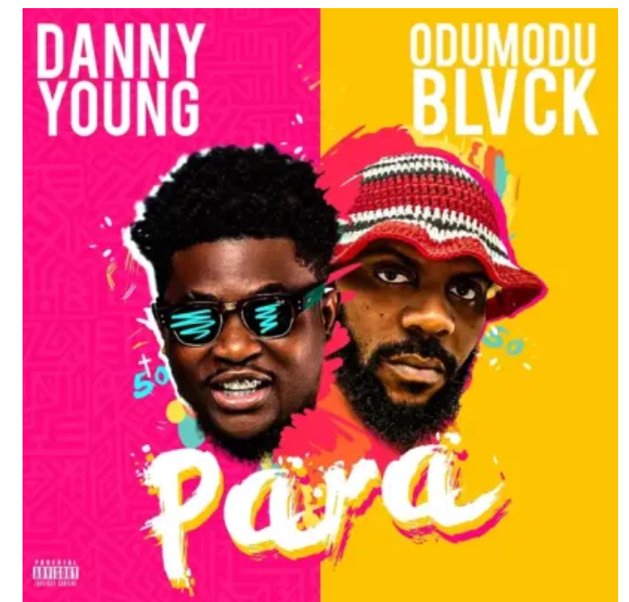 Danny Young – Para Ft Odumodublvck Mp3 Download