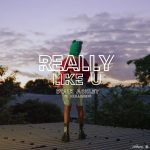 Stalk Ashley – Really Like U ft. Skillibeng Mp3 Download
